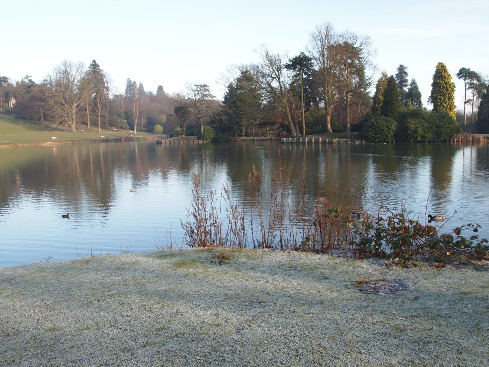 OLYMPUS DIGITAL CAMERA