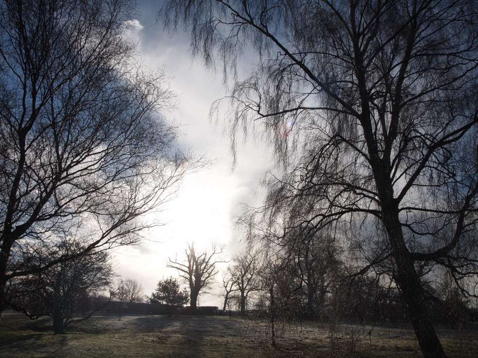 OLYMPUS DIGITAL CAMERA