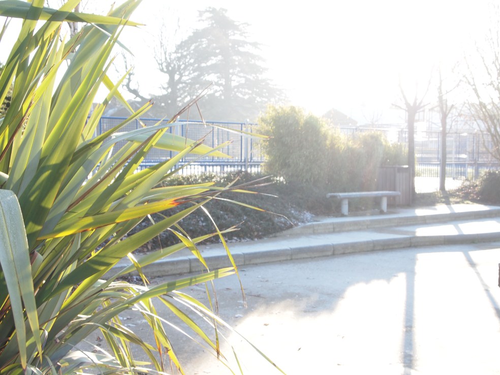 OLYMPUS DIGITAL CAMERA